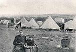 concentration camp.jpg