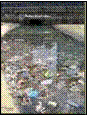 post apartheid four, raw sewerage.png