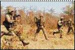 Picture1.png