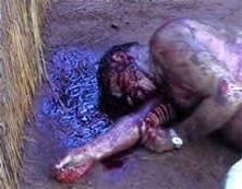 farm murders5.jpg
