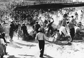 sharpeville police assault.jpg