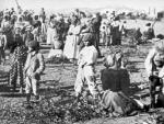 boer war camps.jpg